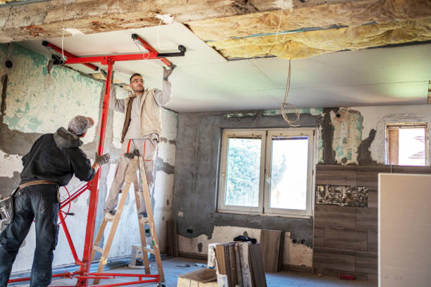 Best Insulation Removal  in Derry, PA