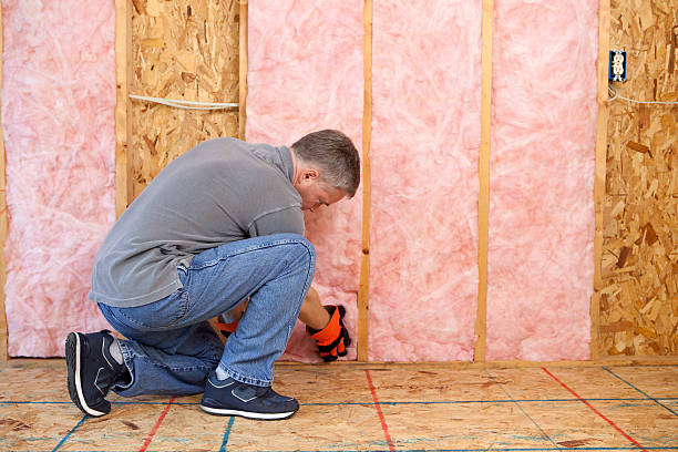 Best Insulation Replacement Services  in Derry, PA